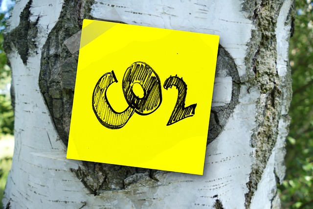 Un post-it jaune marqué "CO2" est collé sur un tronc d'arbre texturé, avec un fond naturel flou, symbolisant l'impact du CO2 sur l'environnement.