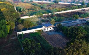 Vue aérienne d'une maison avec des panneaux solaires, entourée de champs et de végétation dans un environnement rural.
