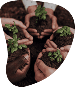 Des mains de différentes couleurs, tenant des plants de basilic dans de la terre, symbolisant l'unité et la nature.