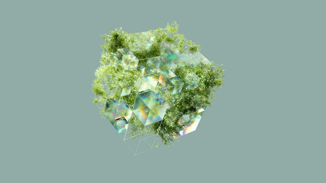 Une structure géométrique transparente se mélange avec des plantes, symbolisant l'harmonie entre la nature et la technologie.