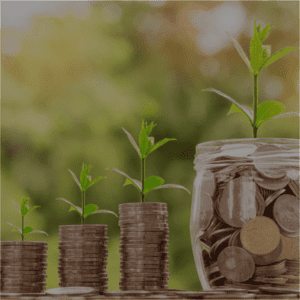 Des piles de pièces de monnaie croissantes avec des plantes en croissance, symbolisant l'investissement et la prospérité.
