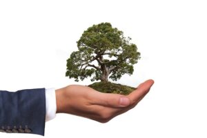 Une main en costume d'affaires soutient un monticule de terre avec un arbre verdoyant, symbolisant durabilité et responsabilité écologique.