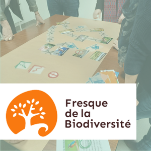 Des participants organisent des cartes illustrées sur la biodiversité autour d'une table, avec le logo "Fresque de la Biodiversité" en avant-plan.