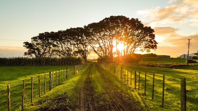 chemin de campagne