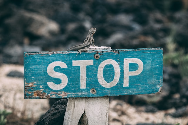 panneau stop en bois