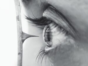 l'oeil d'une personne juste devant une grosse épine