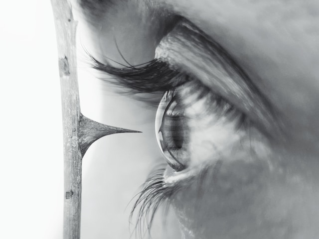 l'oeil d'une personne juste devant une grosse épine