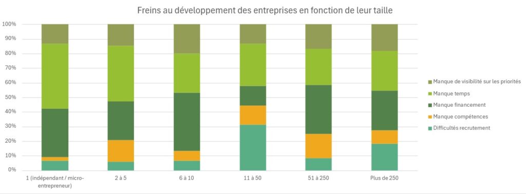Freins au développement des entreprises répondantes