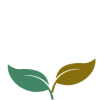 2 feuilles 2 feuilles