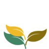 3 feuilles 3 feuilles
