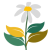 4 feuilles + fleur 4 feuilles + fleur